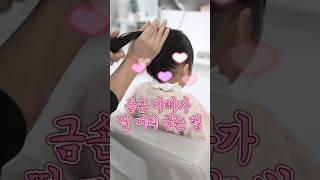 금손 아빠가 딸 머리 묶어주면 #hairstyle