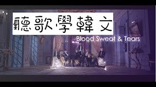 【聽歌學韓文 EP1】BTS-피 땀 눈물 血汗淚 (Blood Sweat\u0026Tears)