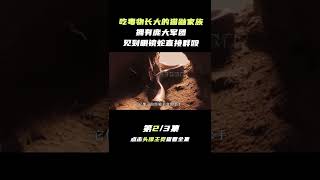 Pt2/3 吃毒物长大的猫鼬，吃毒蝎就像吃辣条，还能和眼镜蛇斗智斗勇！【科普任意门】#shorts