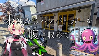 未知なるハンバーガーを腹に納めて【part４】