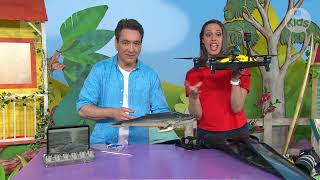 Whale facts with Dr Vanessa Pirotta via Play School, ABC Kids