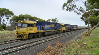 1MP2 Steel Wagons \u0026 Shipping Containers (3/1/2021) - PoathTV Australian Trains \u0026 Railways