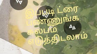 செலவே இல்லாம எடுத்திடலாம்| butter|makkan|வெண்ணெய்|मक्खन