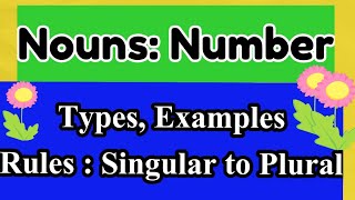 The Nouns- Number-English Grammar-Grade 6 to 8 | ICSE-CBSE-STATE BOARD | Singular to Plural