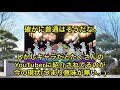 【ラブライブサンシャイン5周年記念】伊波 杏樹という伝説のラブライバーがいてだな…【声優紹介】