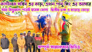 কাশীনাথ সহিষ এর কাড়া এখন পানু সিং এর আসরে//দ্বিতীয় চান্স এর কাড়া, কাশিনাথ সহিষ জরগড়িয়া