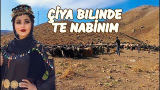 Çiya Bılınde Te Nabinım _ Kürtçe En Çok Hasretlik Çeken Duygulu Aşk Şarkısı Uzun Hava  Kurdsih Music