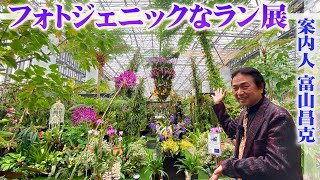 【あわじグリーン館】Awaji Orchid festival 2024『あわじオーキッドフェスティバル2024』を徹底解説【園芸研究家 富山昌克】