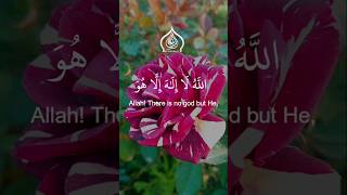 aytulkursi || ایت الکرسی #ayatkursi #quranrecitation #ayatulkursitilawat #qurantilawat #quran