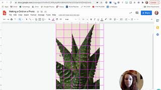 Making a Grid on a Photo - Google Drawings