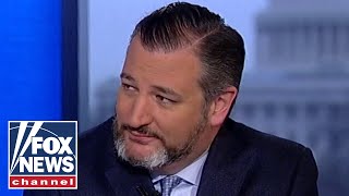Ted Cruz: The Democratic party is defined by Trump hatred
