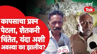 Maharashtra Cotton Issue:  कापसाचा प्रश्न पेटला, शेतकरी चिंतेत, यंदा अशी स्थिती का झाली? | Nagpur