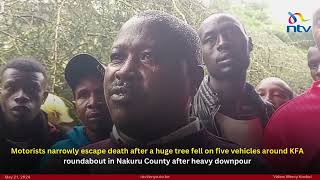 Motorists narrowly  escape death after a huge tree fell on five vehicles in Nakuru
