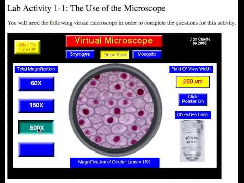 Virtual Microscope - YouTube