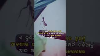 ଏ ଦୁନିଆ ରେ  କେହି କାହାର   ନୁହନ୍ତି😞😞😞