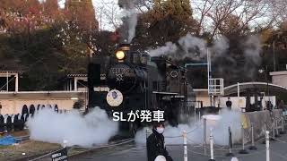 京都鉄道博物館381系特別展示