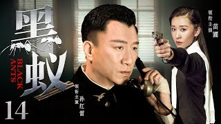 Black Ants 14 | Chinese drama | Honglei Sun，Pu Miao，Zhen Yu，Jin Luo