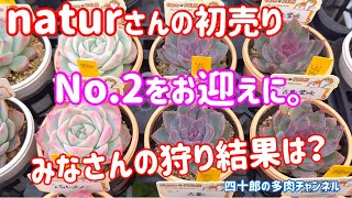 【多肉植物】🎍naturさんの初売り。　No.2をお迎えに。　みなさんの狩り結果は？