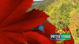 Visit Potter-Tioga, PA | Fall Foliage