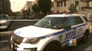 2 Killed In Bronx Shooting