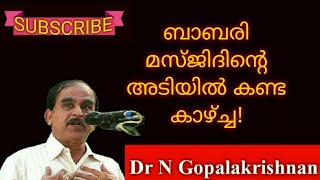 11928=ബാബരിമസ്ജിദിന്റെ അടിയിൽ കണ്ട കാഴ്ച =22=05=20