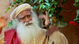 சத்குரு நமக்கு நண்பரா What Is Sadhguru To Us Tamil