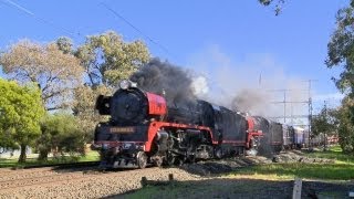 Steamrail R761 \u0026 R707 \