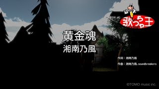 【カラオケ】黄金魂 / 湘南乃風