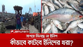 সাগরে মিলছে না ইলিশ; নদী খননের পরামর্শ গবেষকদের | Patuakhali Ilish