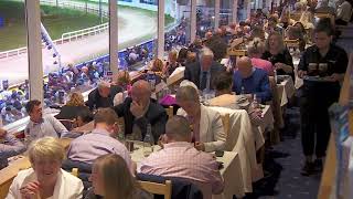 2022 BoyleSports Irish Greyhound Derby Consolation \u0026 Michael Fortune Memorial Derby Plate Finals