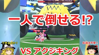 【ポケモンGO】ぼっちでも倒せる⁉️アクジキング(ver. ヘドロばくだん)のソロレイドに挑戦‼