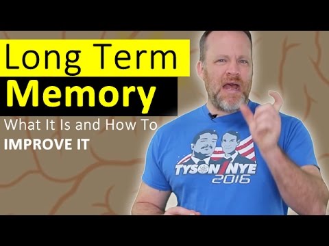 Long Term Memory - How To Improve it and What It Is! Long Term Memory - How To Improve it and What It Is!