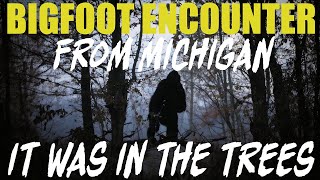 BIGFOOT ENCOUNTER FROM MICHIGAN | THE CREATURE WAS STANDING IN THE TREE! (NORTHERN ENCOUNTERS)