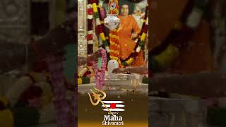 Lingabhishekam (Coconut Water) | Maha Shivaratri Special