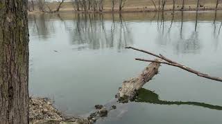 Scoping Fishing Spots out within the Downtown Indianapolis Area....