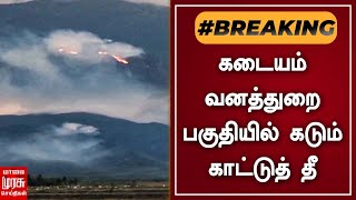 BREAKING | கடையம் வனத்துறை பகுதியில் கடும் காட்டுத் தீ | Kadayam | Tenkasi