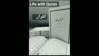 Qur'an translation#quran #islam #shorts #shortsvideo#viral #religion #youtubeshorts#status||viralhog