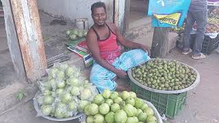 গ্রাম- বাংলার, সহজ-সরল মানুষের বিভিন্ন পেশা | NP | নতুন-পথ |