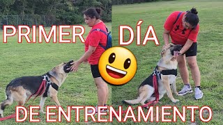 🔴Asi Logro LA JEFA VLOGS entrenar a su mascota Preferida🦮 PASTOR ALEMAN🐕PRIMER DÍA y lo que paso