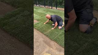 How To Install Sod