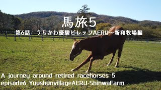 馬旅５　～引退した競走馬を訪ねてみたら～　第六話　うらかわ優駿ビレッジAERU～新和牧場編　A journey around retired racehorses5  episode6