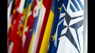 The NATO Parliamentary Assembly explained