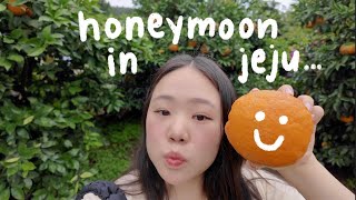 honeymoon in jeju pt.2🍊🌱☁️ (cafés, racing, museum, food)