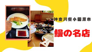 鰻の名店★神奈川県小田原市鳥かつ楼、友栄　#グルメ 　ういろう本店のスィーツ♪