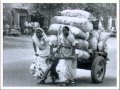 Pride of India: Ela Bhatt  (JAPANESE)