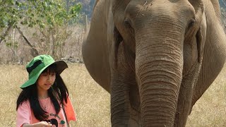 Genie Yanisa and Elephant Nature Park programm