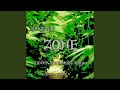 ZONE (feat. JUNKY, SHINMA02 & Adnym)