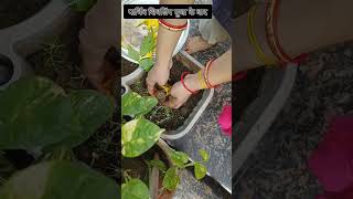 पार्थिव शिवलिंग विसर्जन कैसे करें | Parthiv shivling visharjan kaise kare | #parthivshivling