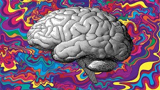 Bots are Pushing Psychedelics in YouTube's Comment Section