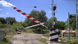 Spoorwegovergang Castellana Grotte (I) // Railroad crossing // Passaggio a livello